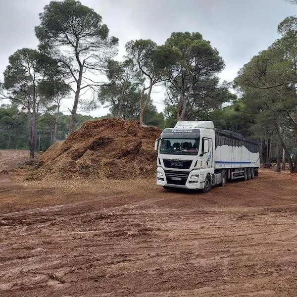 Transcosur lorry and trailer next to a pile of forestry waste in a clearing in a pine forest