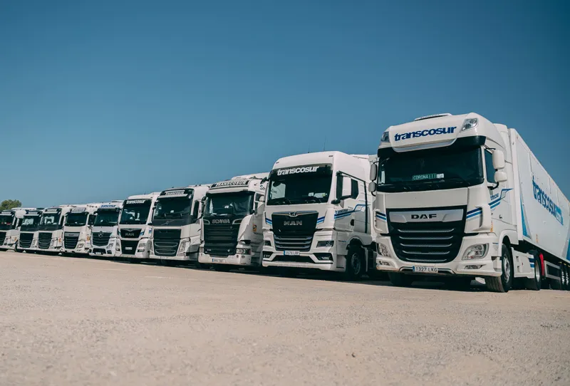 we are looking for great transport professionals