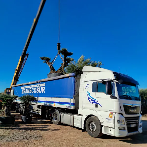 transport de plantes vivantes