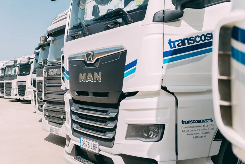 book domestic transport