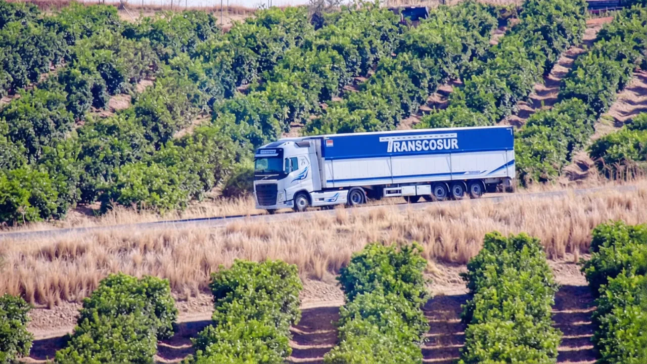 Camión de Transcosur en una carretera entre naranjos